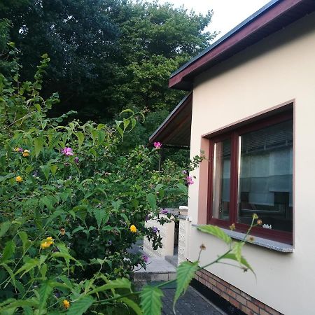 Ferienhaus Am Wald Loissin Ngoại thất bức ảnh