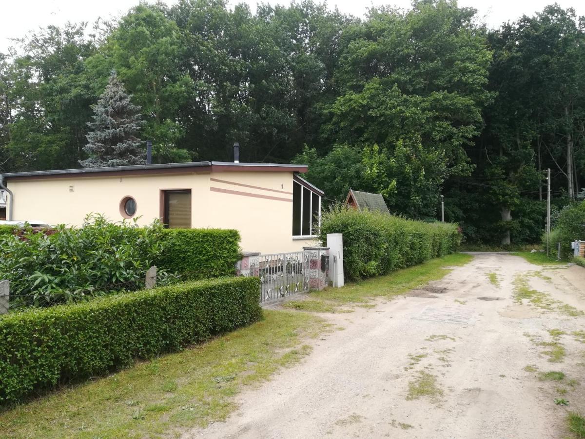 Ferienhaus Am Wald Loissin Ngoại thất bức ảnh